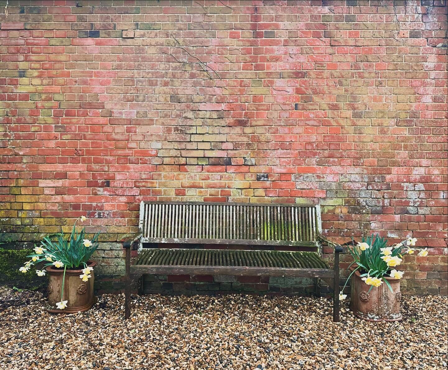 You could say that sometimes we just rearrange the furniture but that wouldn&rsquo;t be the whole story!

We designed a major transformation at this garden and made many, many changes.  But I liked this rickety old wooden bench, with its touch of lic