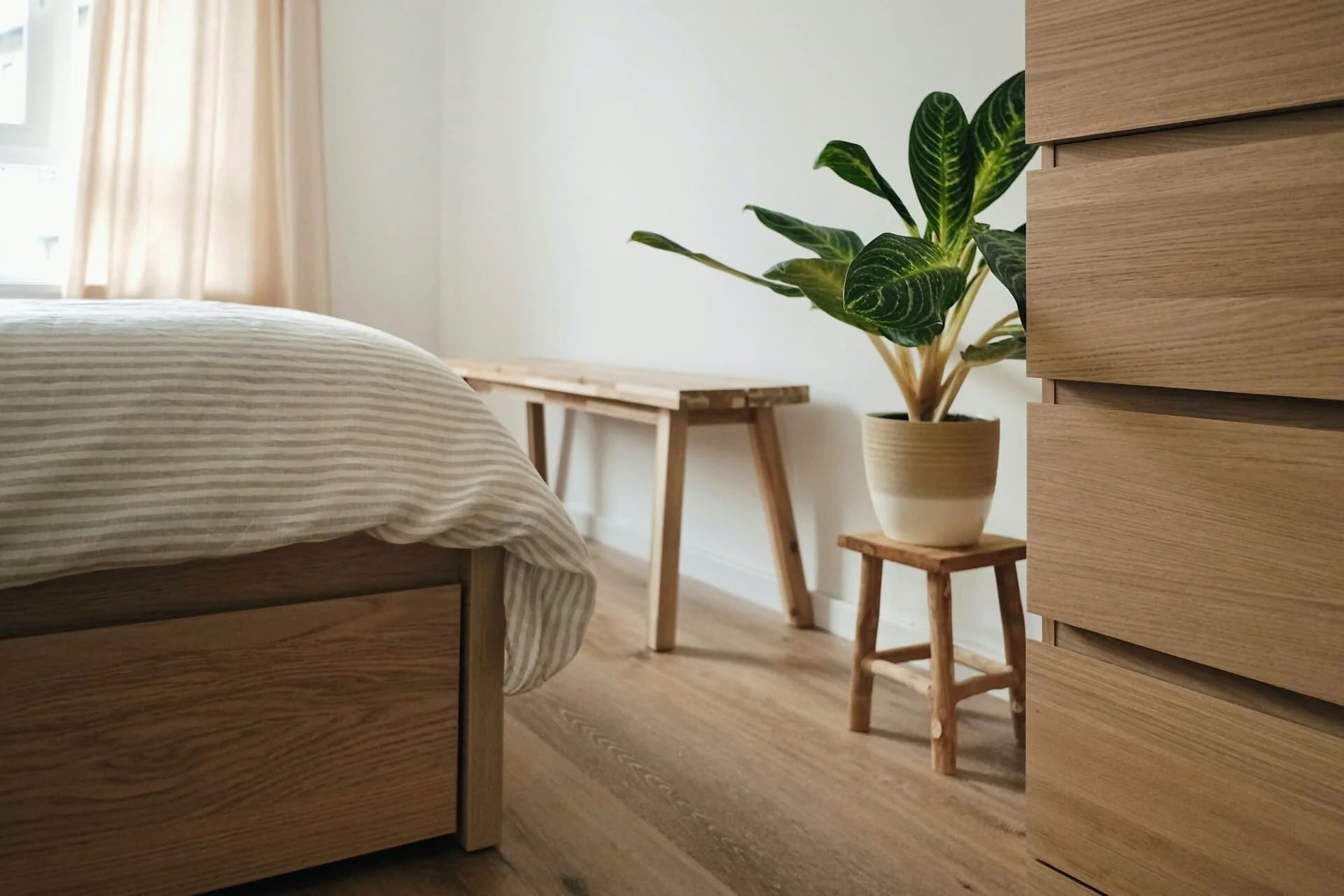 add-indoor-plants_22.jpg