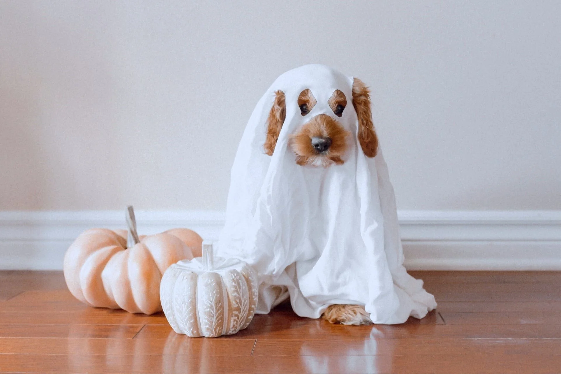 fall-bucket-list-ideas-for-adults_30.jpg