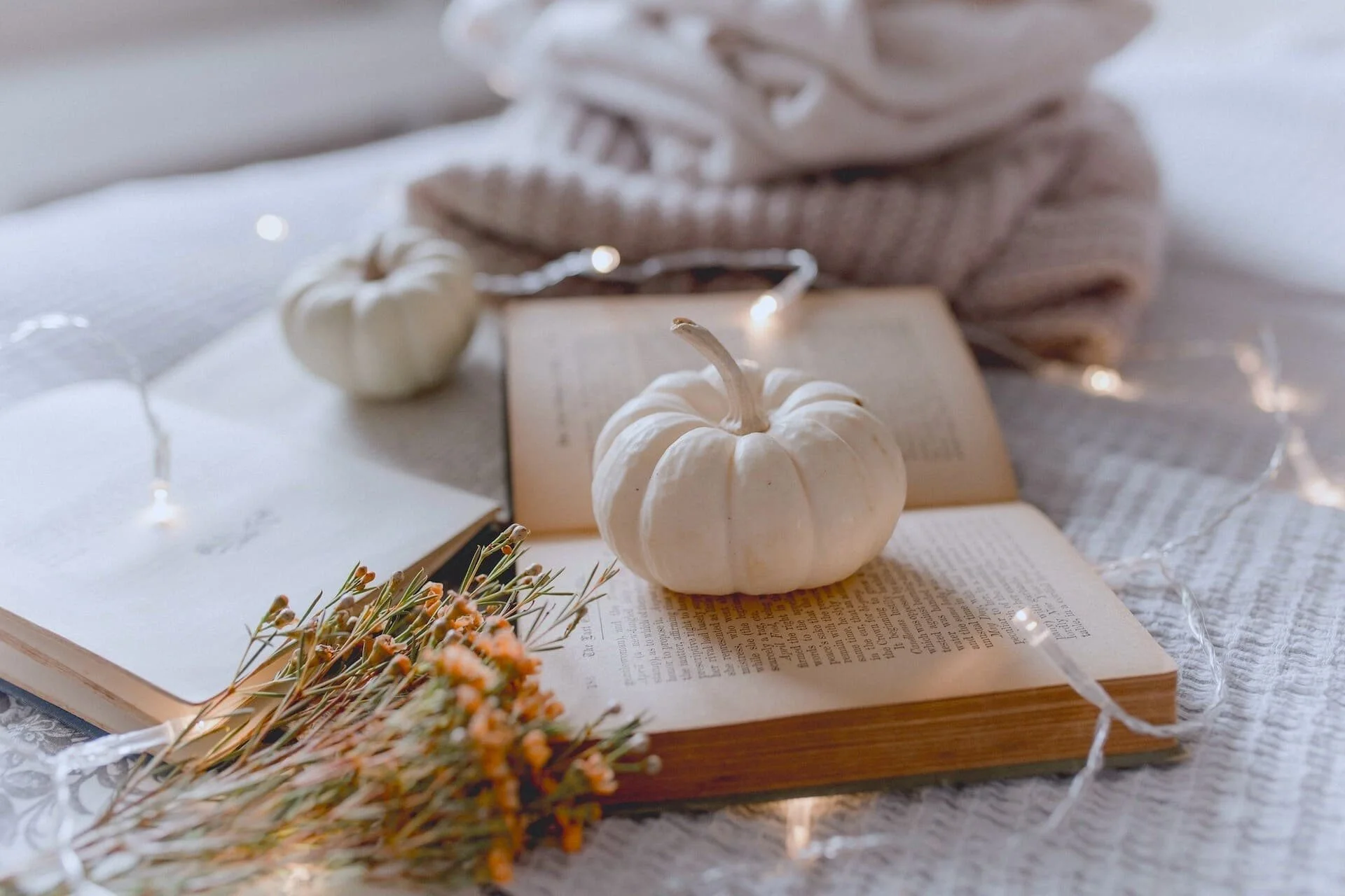 fall-bucket-list-ideas-for-adults_26.jpg