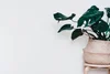 15 Stress Relief Activities for Adults (Fun + Calming) — Miss Tea Positive