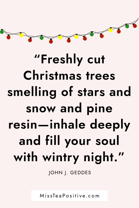 inspirational-christmas-quotes-and-wishes_22.png