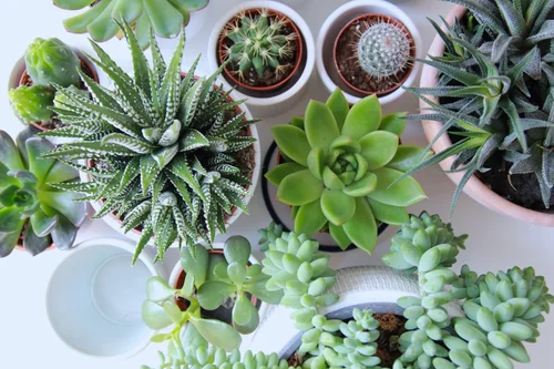 15 Stress Relief Activities for Adults (Fun + Calming) — Miss Tea Positive