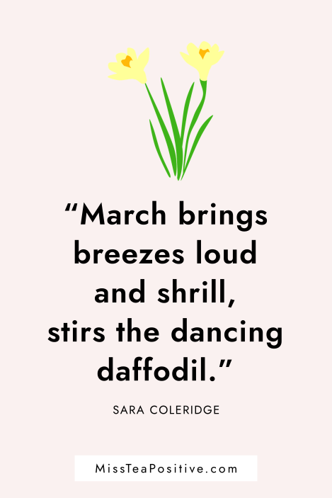 17 Positive March Quotes To Welcome Spring — Miss Tea Positive