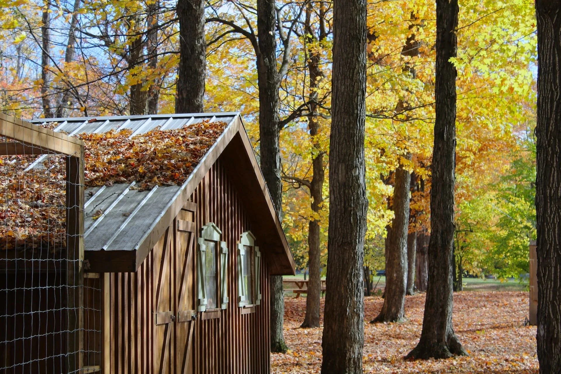 fall-bucket-list-ideas-for-adults_17.jpg