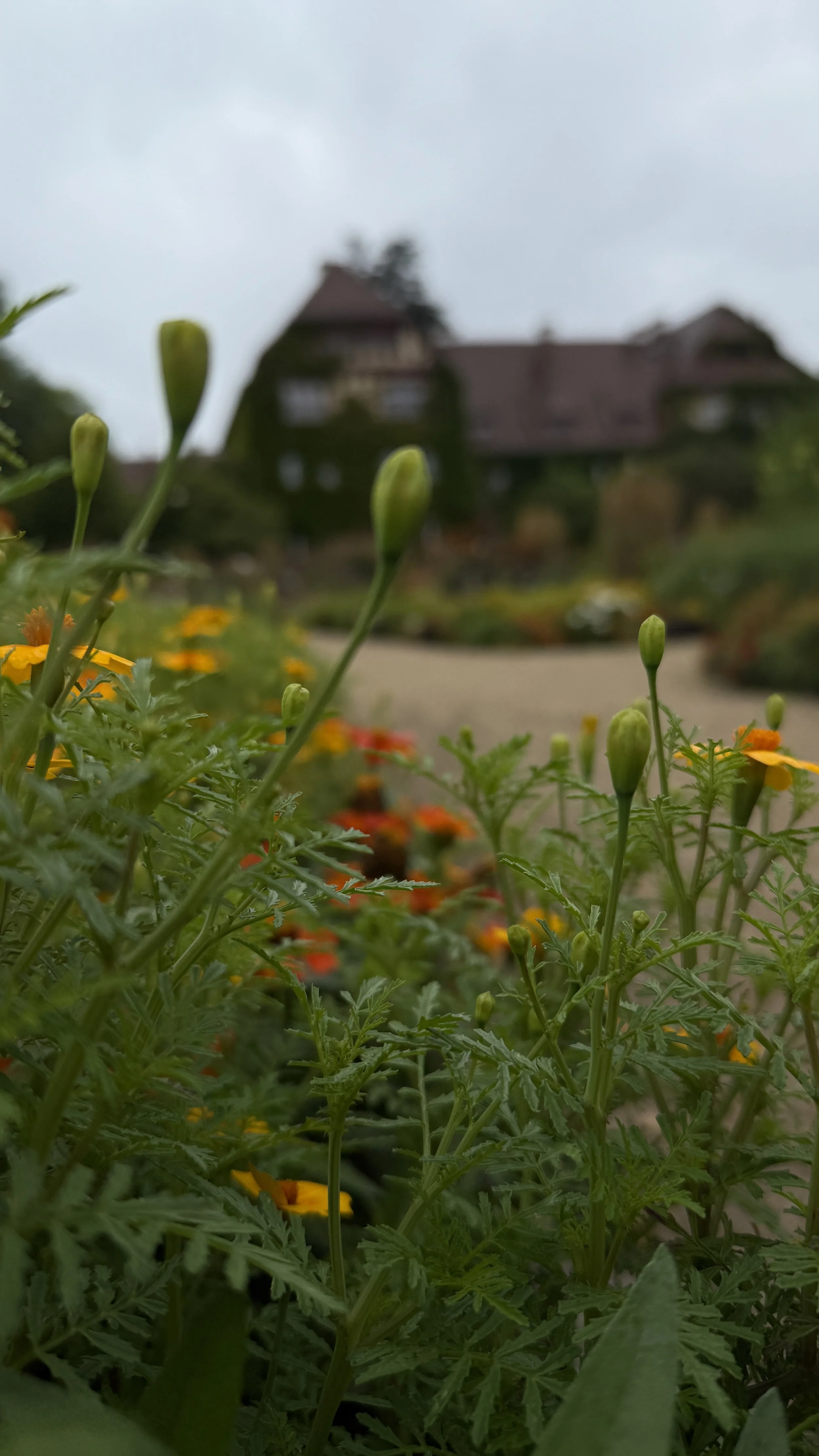 Nature Journaling im Botanischer Garten Berlin (28. August 2025) 