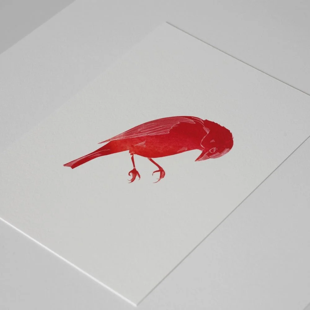 orange+crow+minimalsmall.jpg