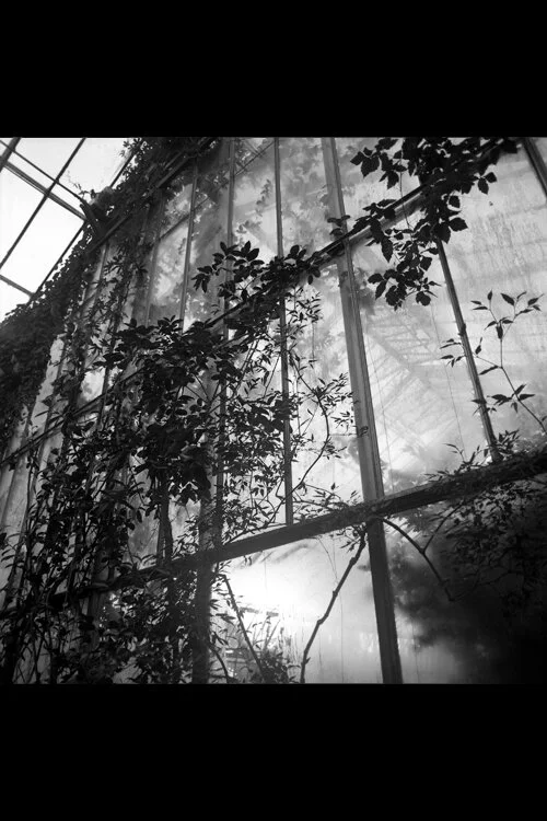 GLASS HOUSE