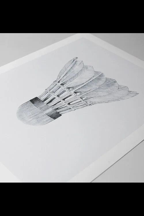 ILLUSTRATIONS