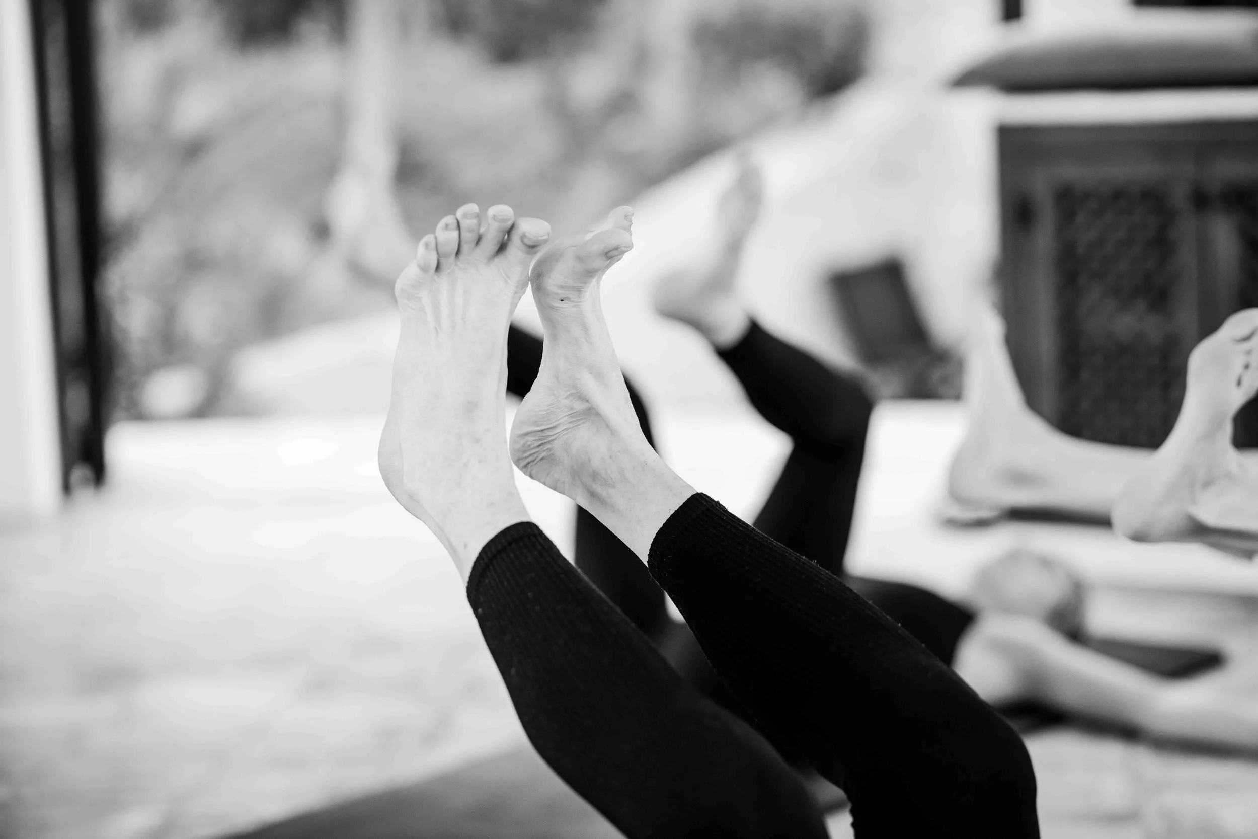 2N4A3921 low rey.jpg