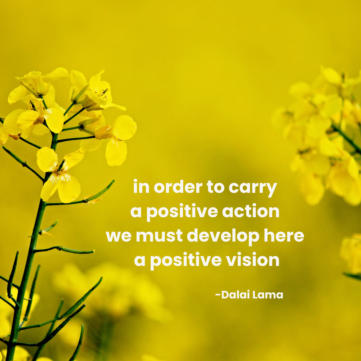 A Call to Action