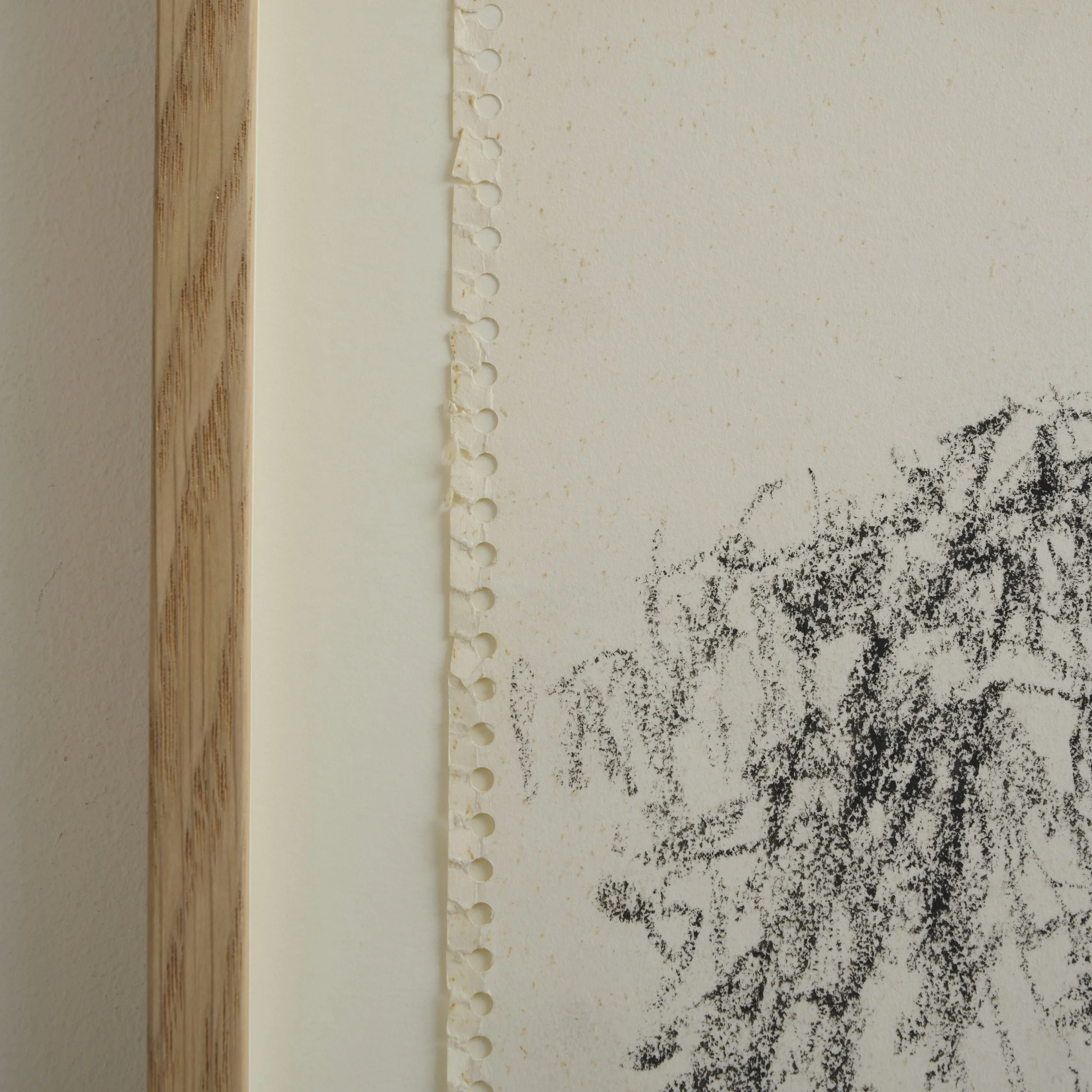 2026_01_14 Thordals101884.jpg