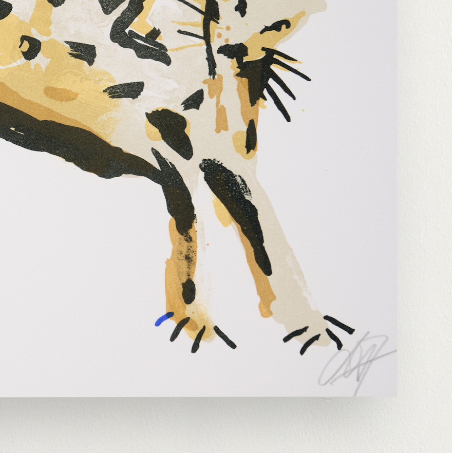 Skærmbillede 2026-03-25 kl. 11.43.06.png