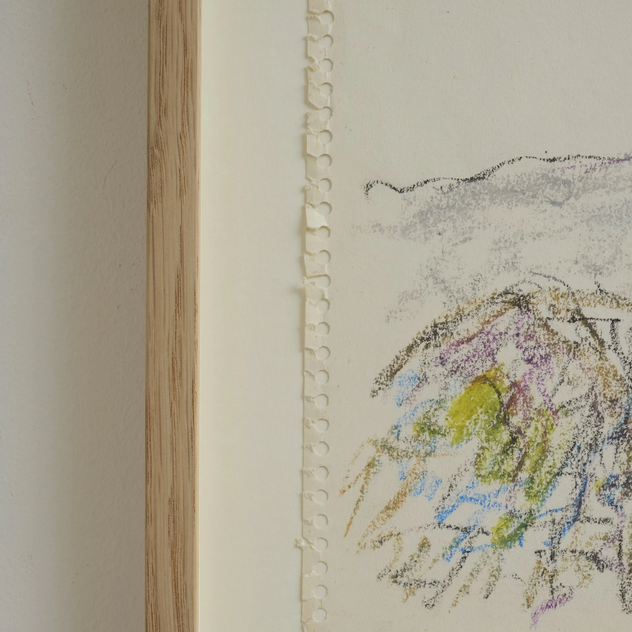 2026_01_14 Thordals101900.jpg