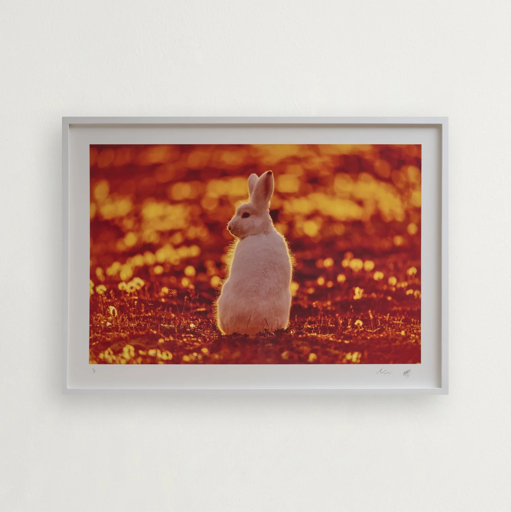 Helle & Uri Løvevild Golman