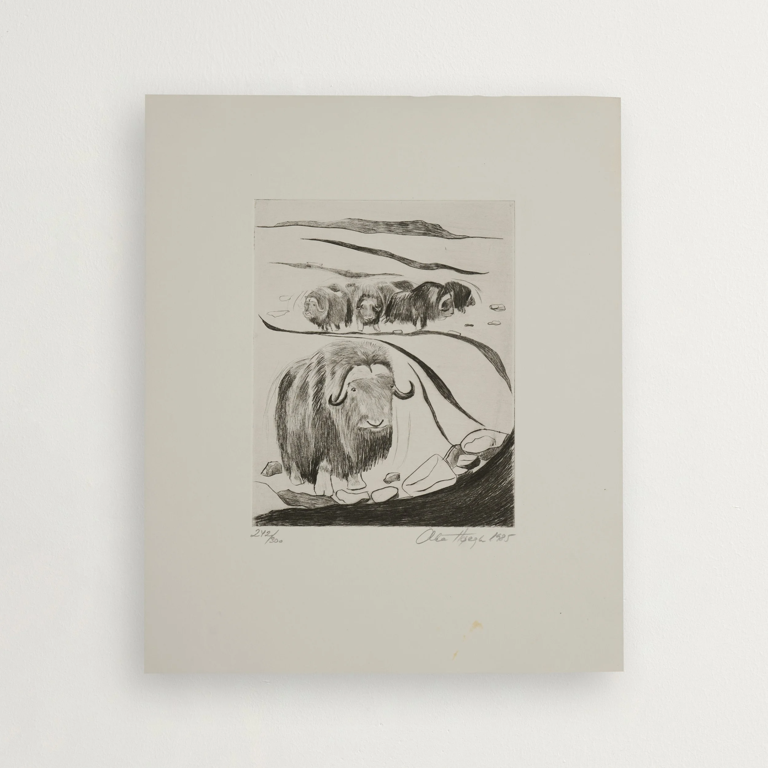 2025_10_08 Thordals99129223.jpg