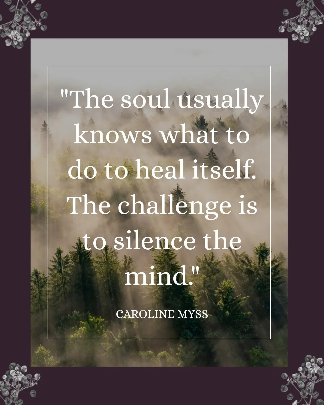 Sometimes clarity doesn&rsquo;t come from doing more&mdash;it comes from doing less. The soul has its own quiet wisdom, but we often drown it out with noise, urgency, and endless to-do lists. Today, give yourself permission to pause. Step back from t