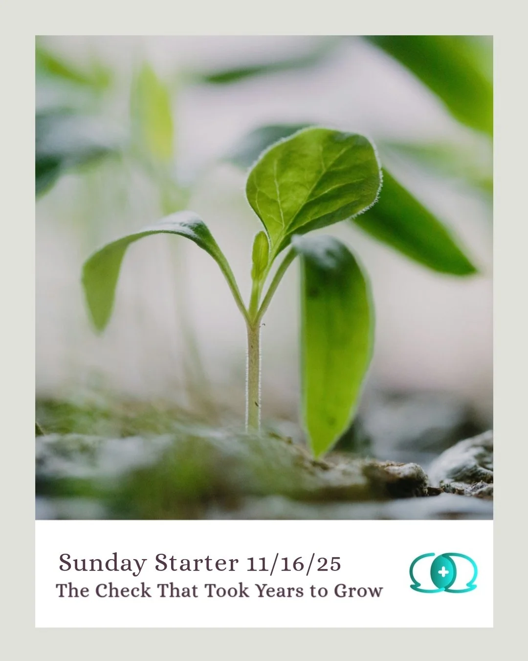 This week I received my first large royalty check. As a writer and content creator for professional development workshops, I have a few things out there that create some passive income, but they have never really produced more than a couple hundred d
