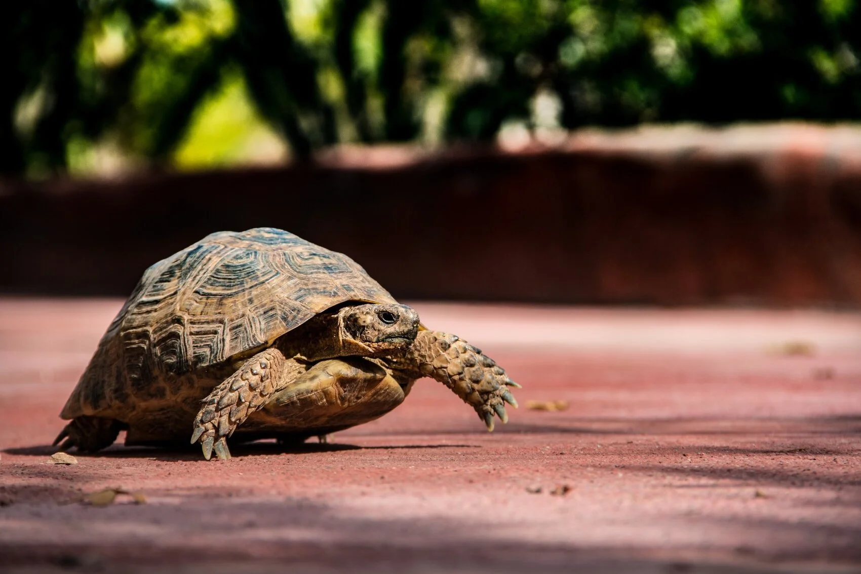 Crawling: Progress Counts, Even When It's Not Perfect