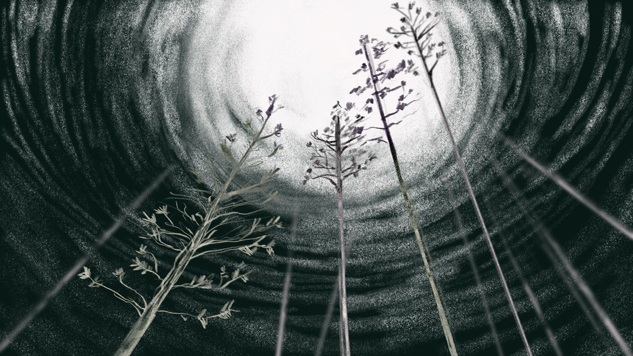 Sagittarius III: Spectrality