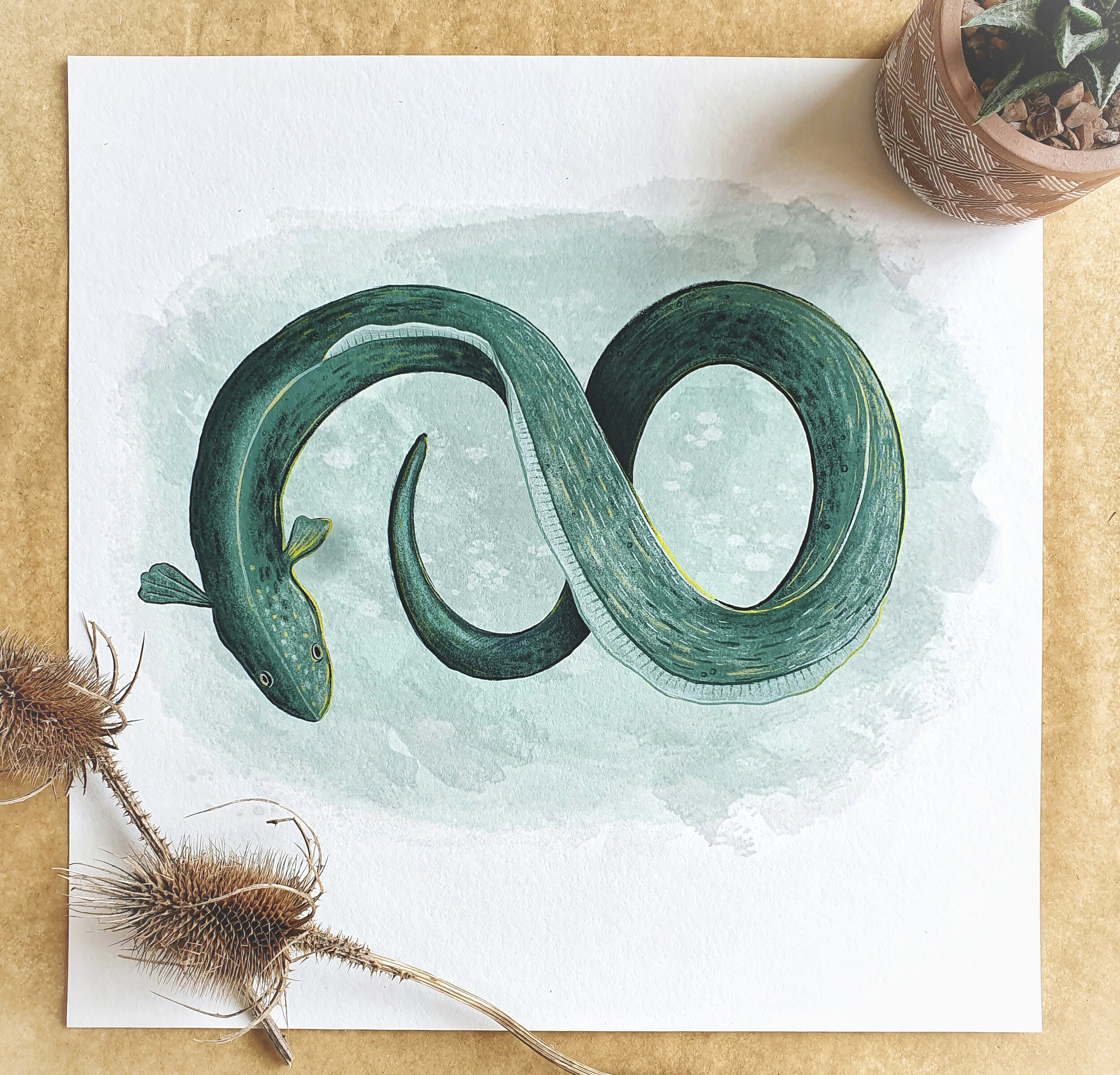 A green eel in the shape of a figure of eight or infinity sign on a watercolour style backgroud. giclee print of digital illustration lays on brown background with teasels surrounding.