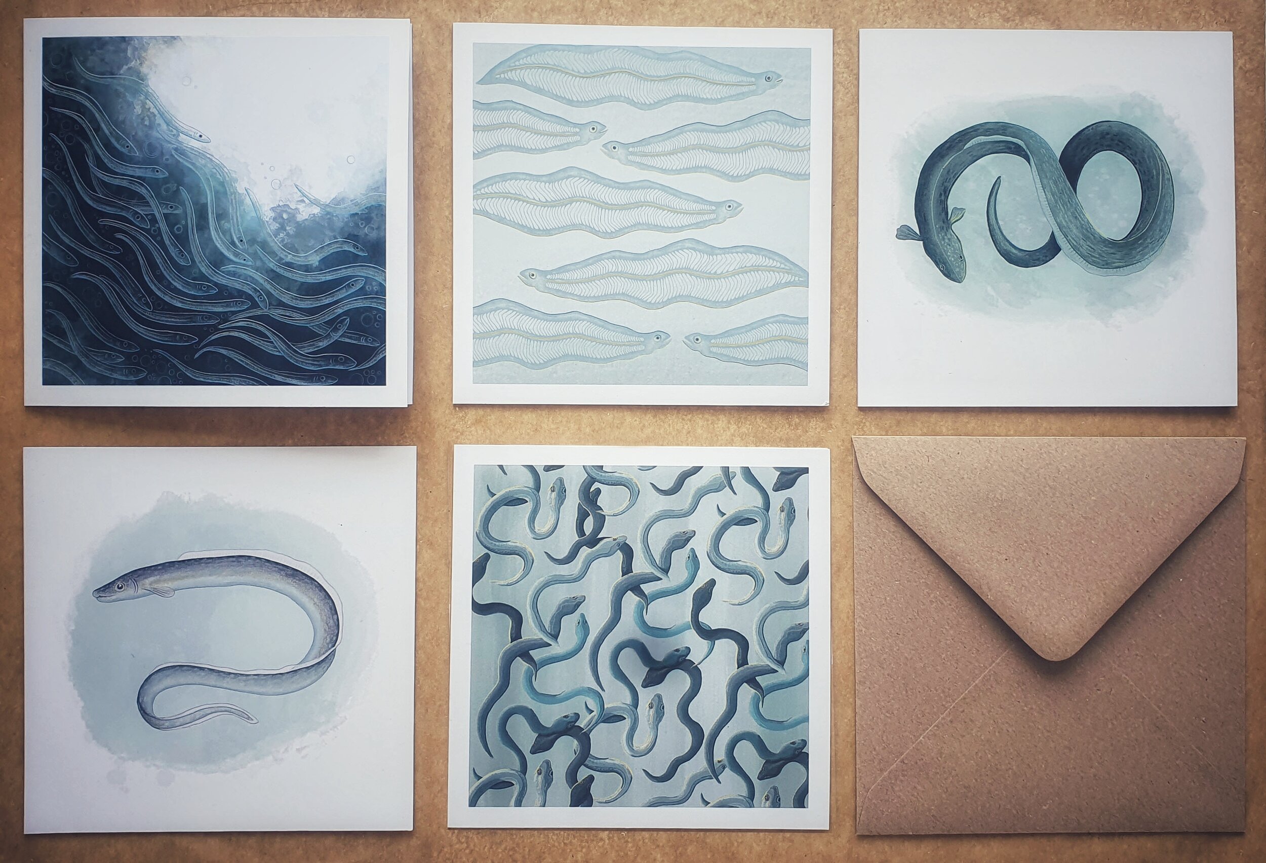 A selection of cards showing the various stages of the eel life cycle lay in a grid on a brown background with a kraft paper envelope.