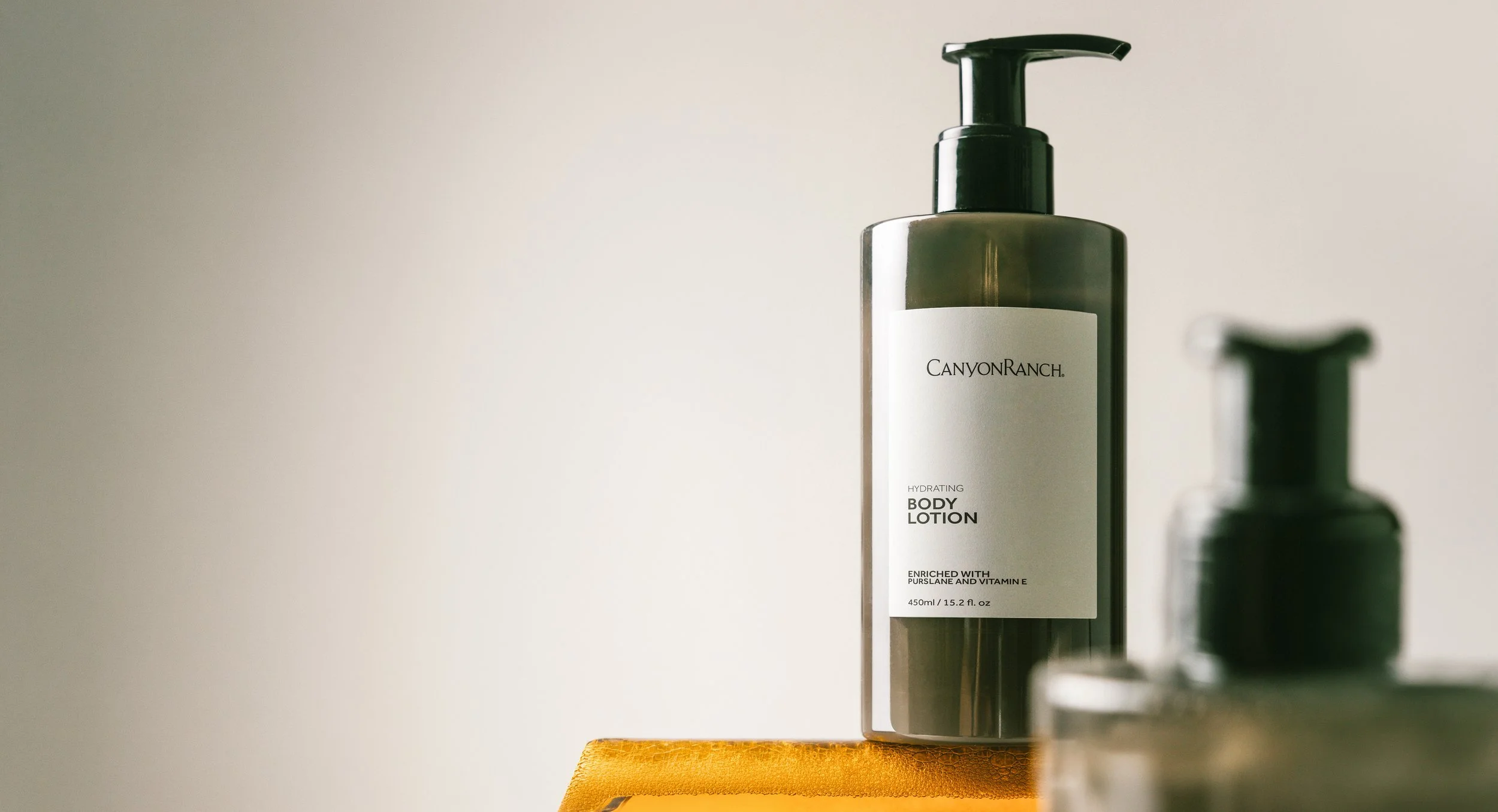 CANYON RANCH BODY 2.jpg