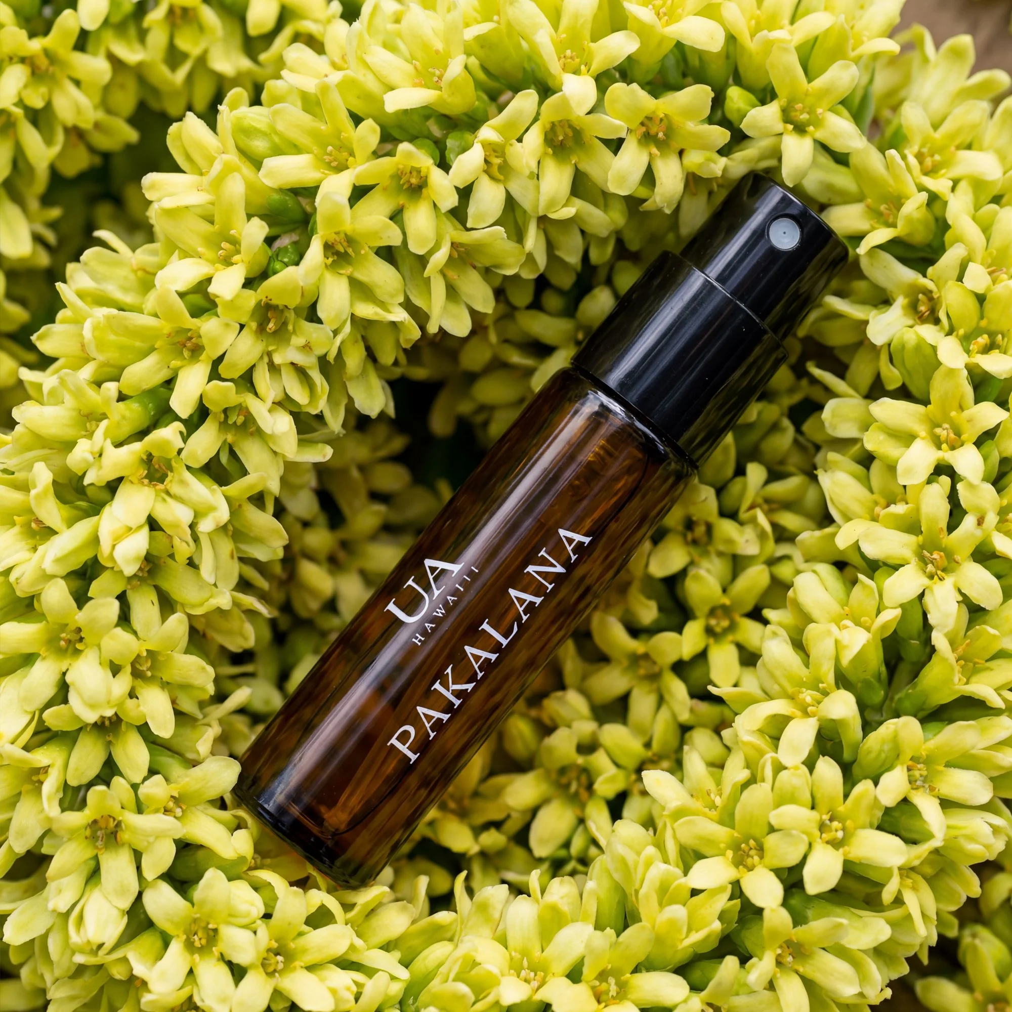 UA HAWAII MISTS PAKALANA.jpg