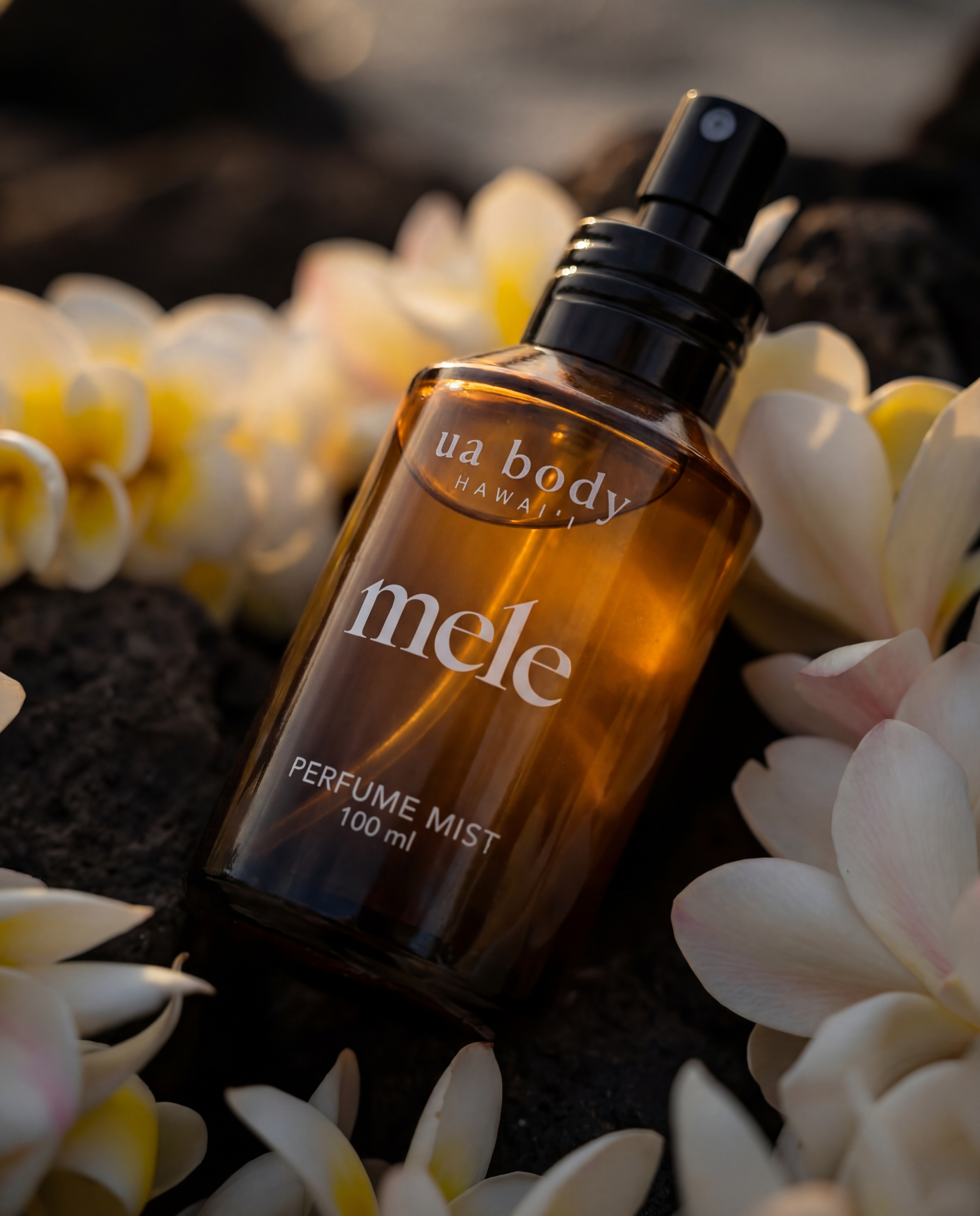 UA HAWAII MELE MIST.png