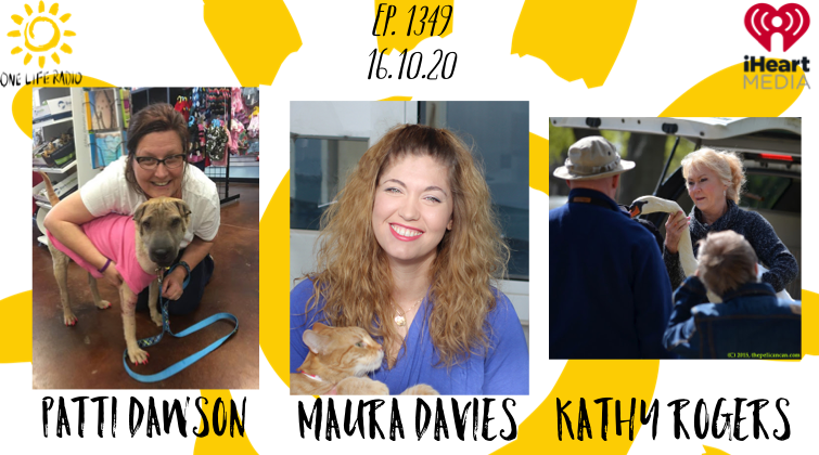 Patti Dawson - Dallas DogRRR, Maura Davies - SPCA Texas, Kathy  Rogers - Wildlife Center #1349