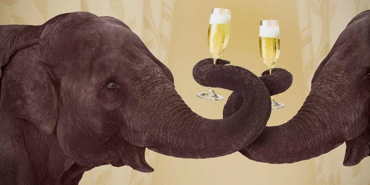 Bern Had A Little Lamb