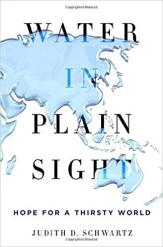 Water in Plain Sight: Hope For A Thirsty World