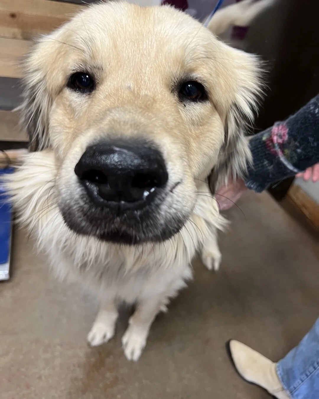 1341, Dr. Dominik Nischwitz, Robin Perry Braun-One Life Radio