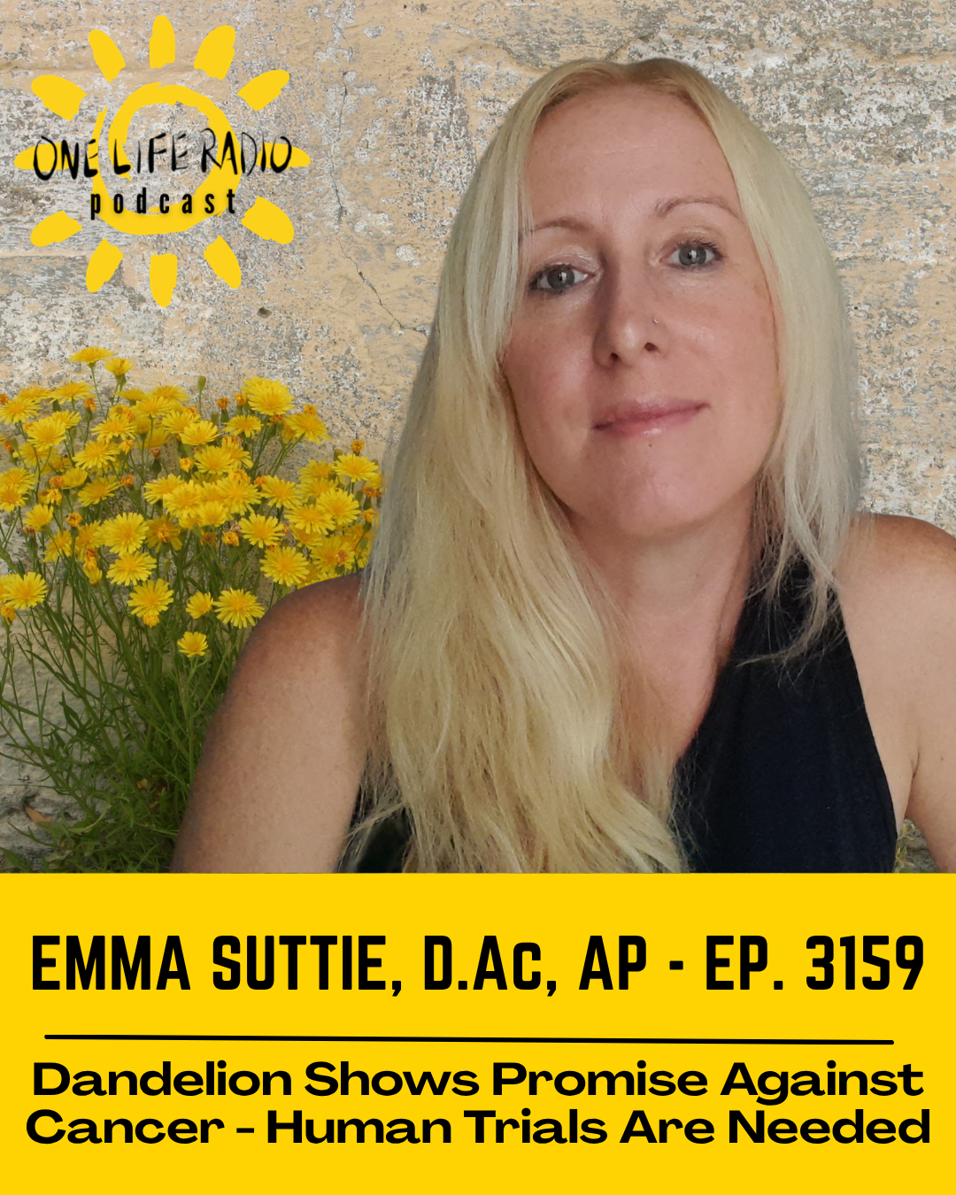 Emma Suttie, D.Ac, AP - “Dandelion Shows Promise Against Cancer, But Human Trials Are Needed” Ep. 3159