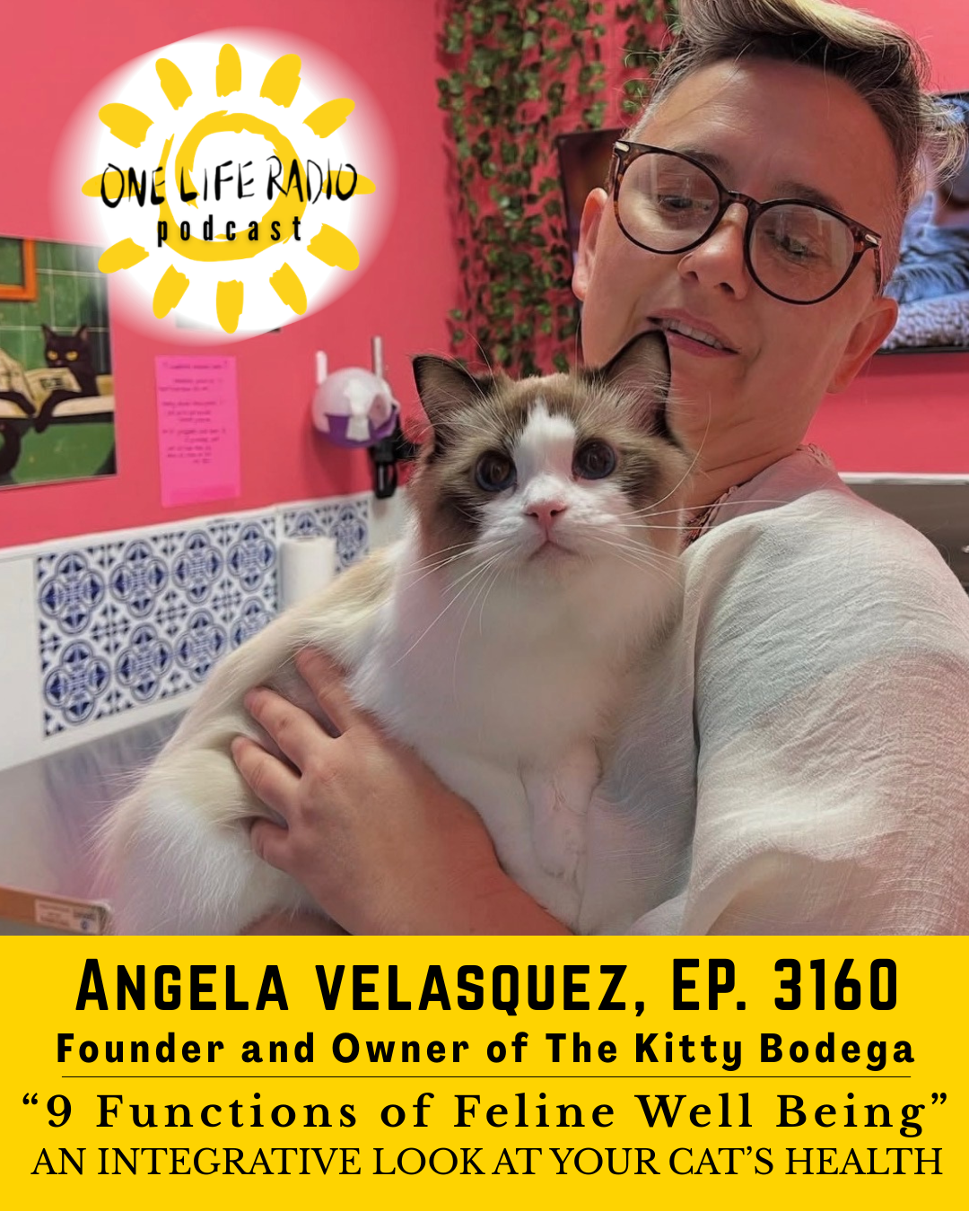 Angela Velasquez, Founder of The Kitty Bodega &amp; Bernadette Fiaschetti - 9 Functions of Feline Well Being: An Integrative Look at Your Cat’s Health #3160 