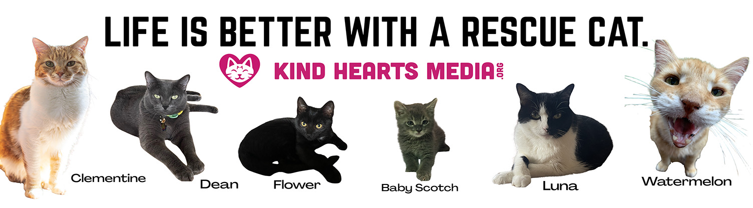 14 x 48 Kind Hearts Media - Rescue Cat_Primary 700B - C520566-R1.png