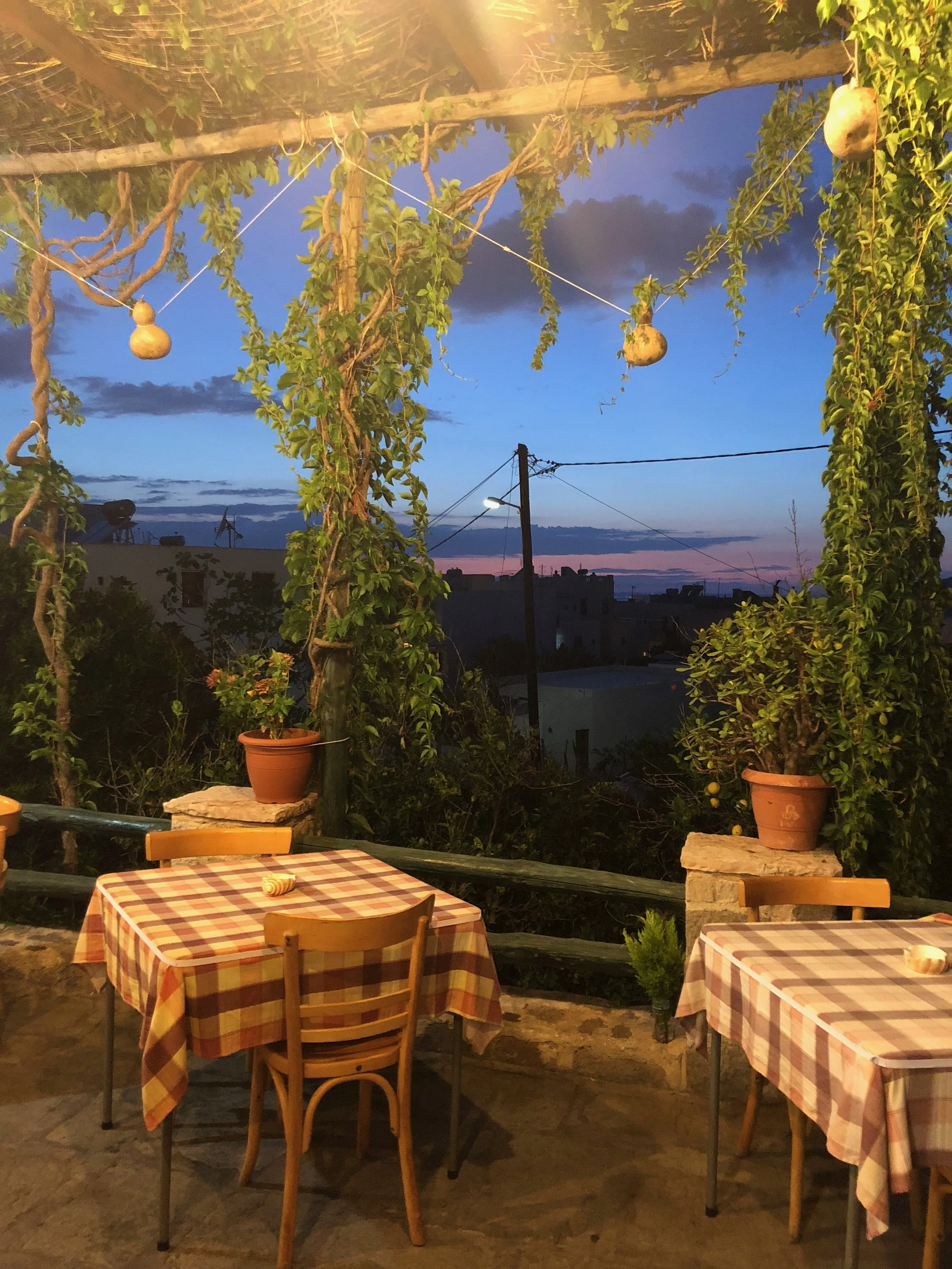 Outdoor dining area at dusk with checkered tablecloths on tables, potted plants, and vines growing on a wooden trellis, with a sunset sky and power lines in the background.