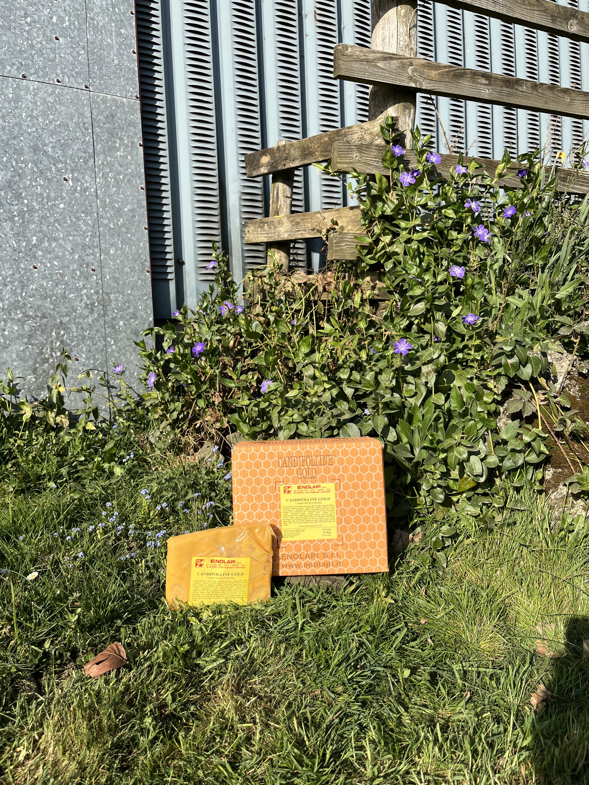 candipolline-gold-12x1kg.jpeg