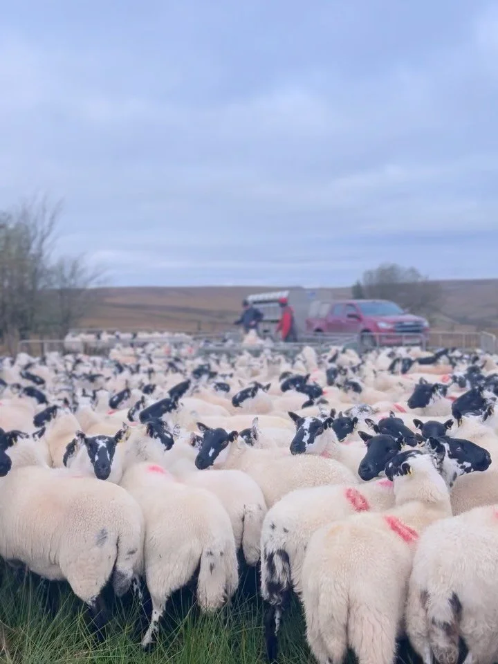 ❄️N O V E M B E R❄️. Into November we go&hellip; we&rsquo;ve had a fab summer season to say the least!! Saying hello to many new customers has been a highlight over the past few months. We would like to thank everyone who&rsquo;s supported us over th