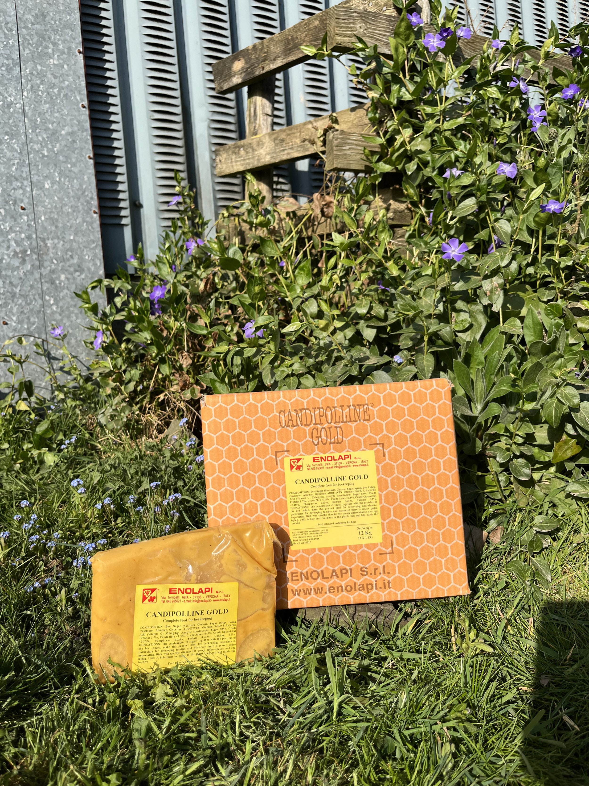 candipolline-gold-12x1kg-2.jpeg