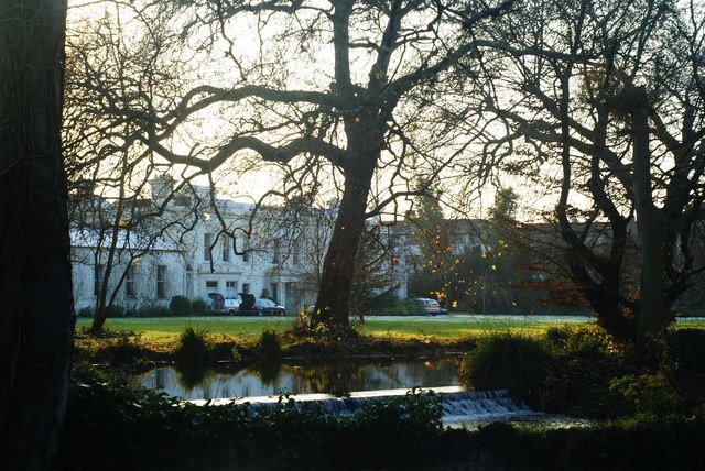 Dog &amp; Bond joins the National Trust retail range