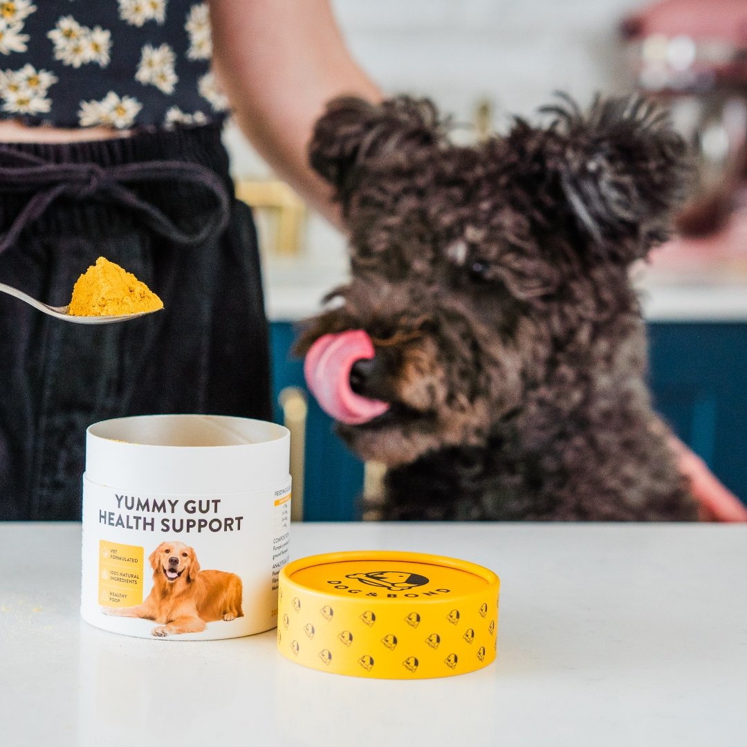 Dog and Bond Yummy Gut Support-image 3.jpg