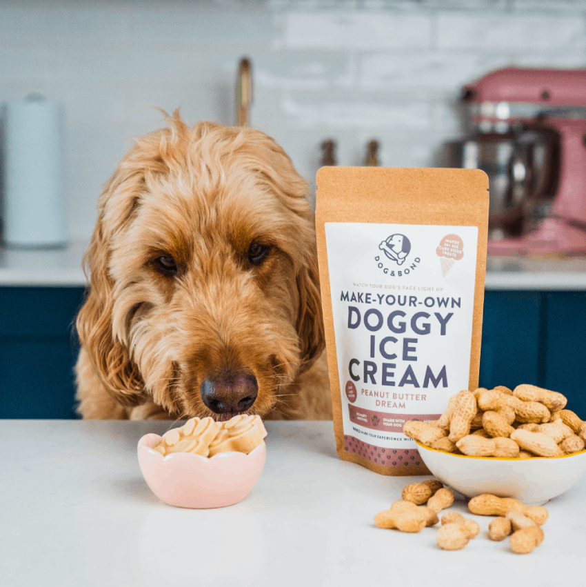 Dog Peanut Butter Ice Cream.png