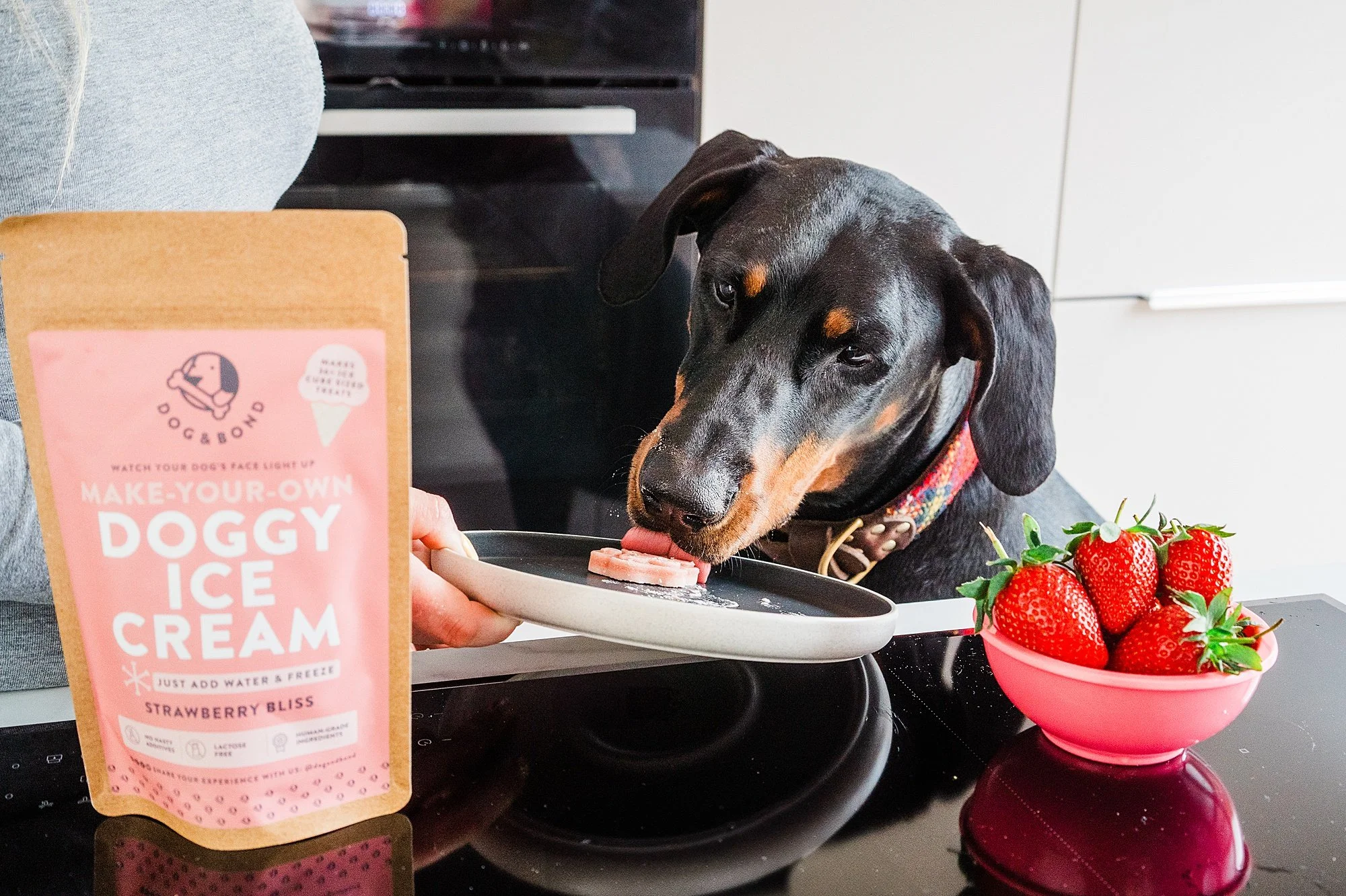 Strawberry Dog Ice Cream Mix – Strawberry Bliss (120g)