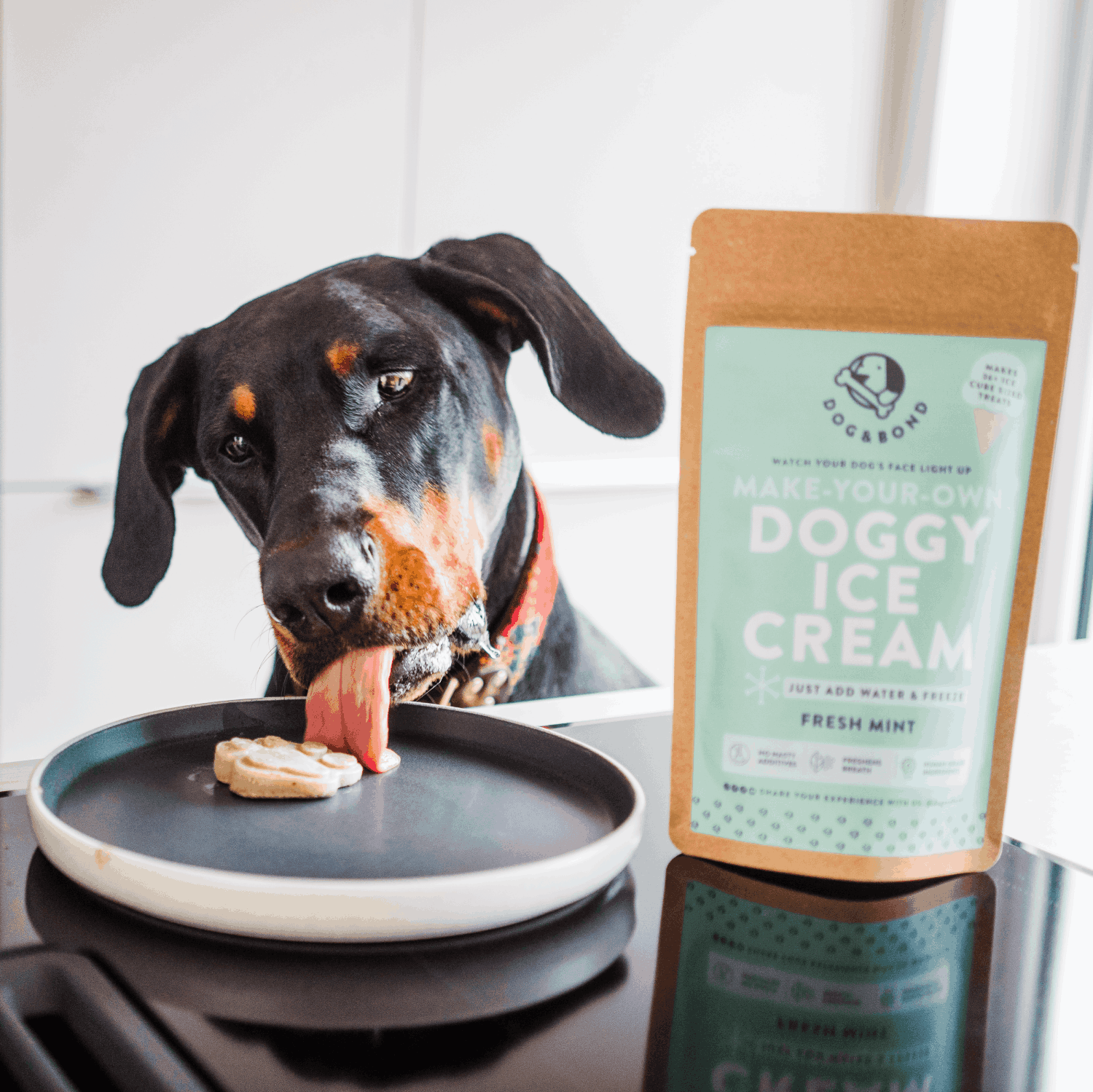 Dog and Bond Doggy Ice Cream Fresh Mint Ice Cream.png