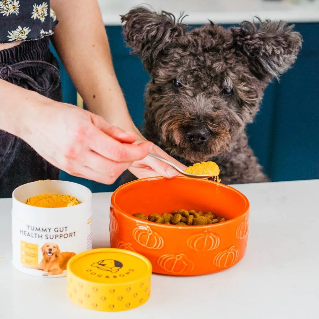 Dog and Bond Yummy Gut Support-spoon.jpg