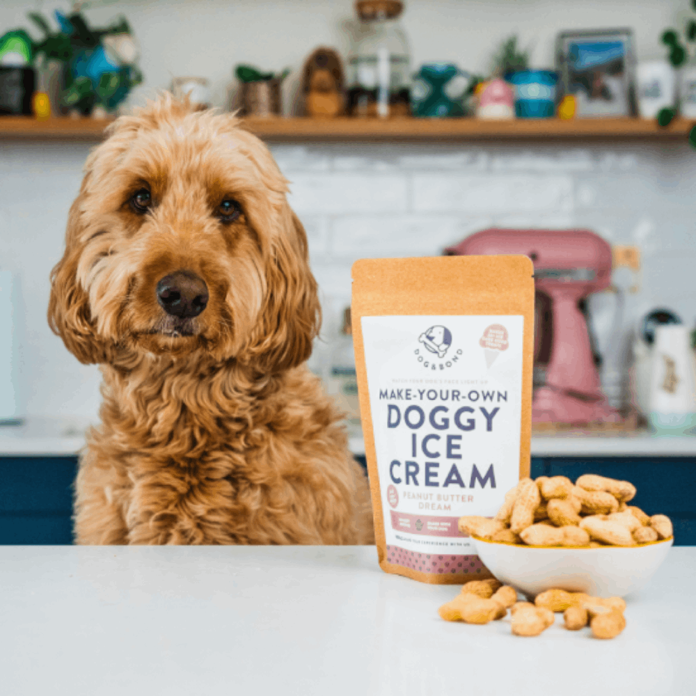 Dog and Bond ice cream