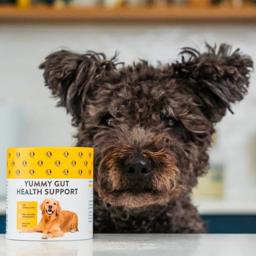 Natural Gut Health Supplement for Dogs – Pumpkin, Flaxseed & Apple Powder Blend (200g)