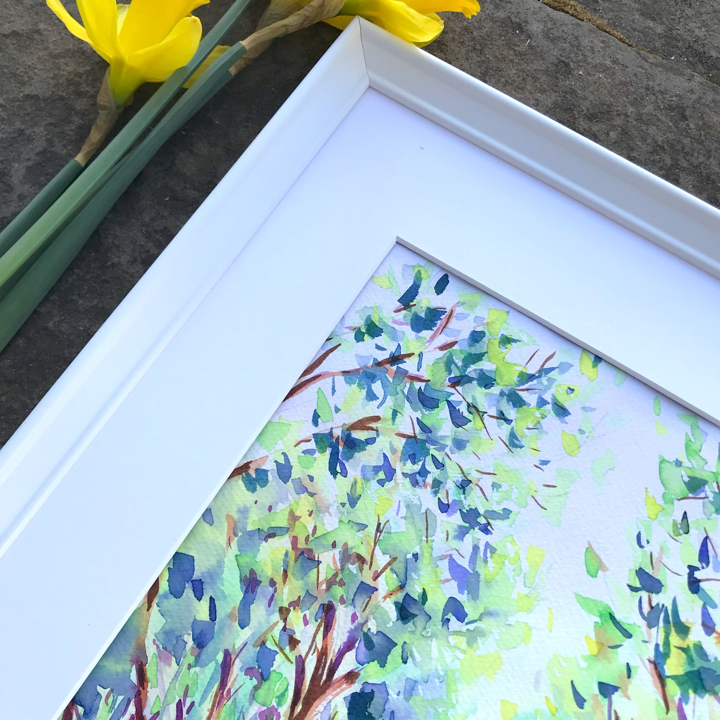 tree path frame close up.jpg