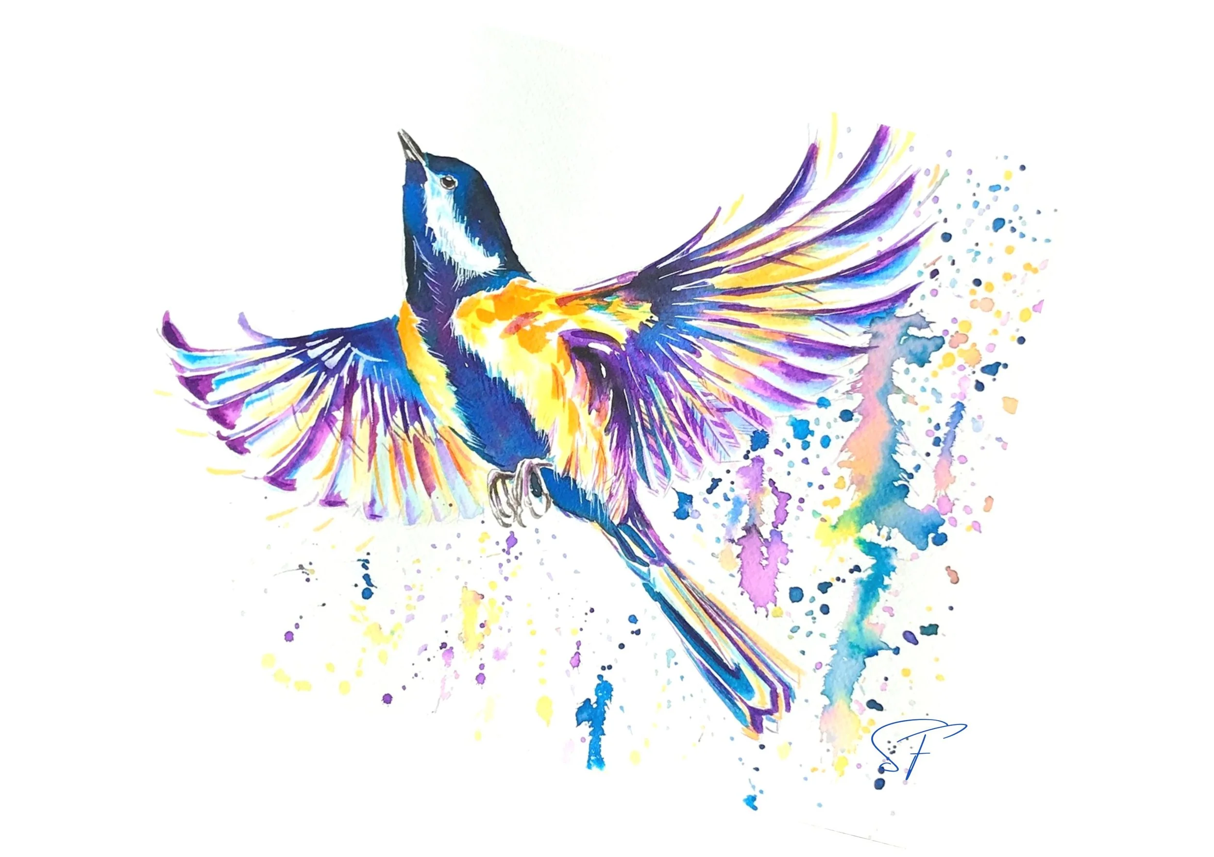 Soaring into the New